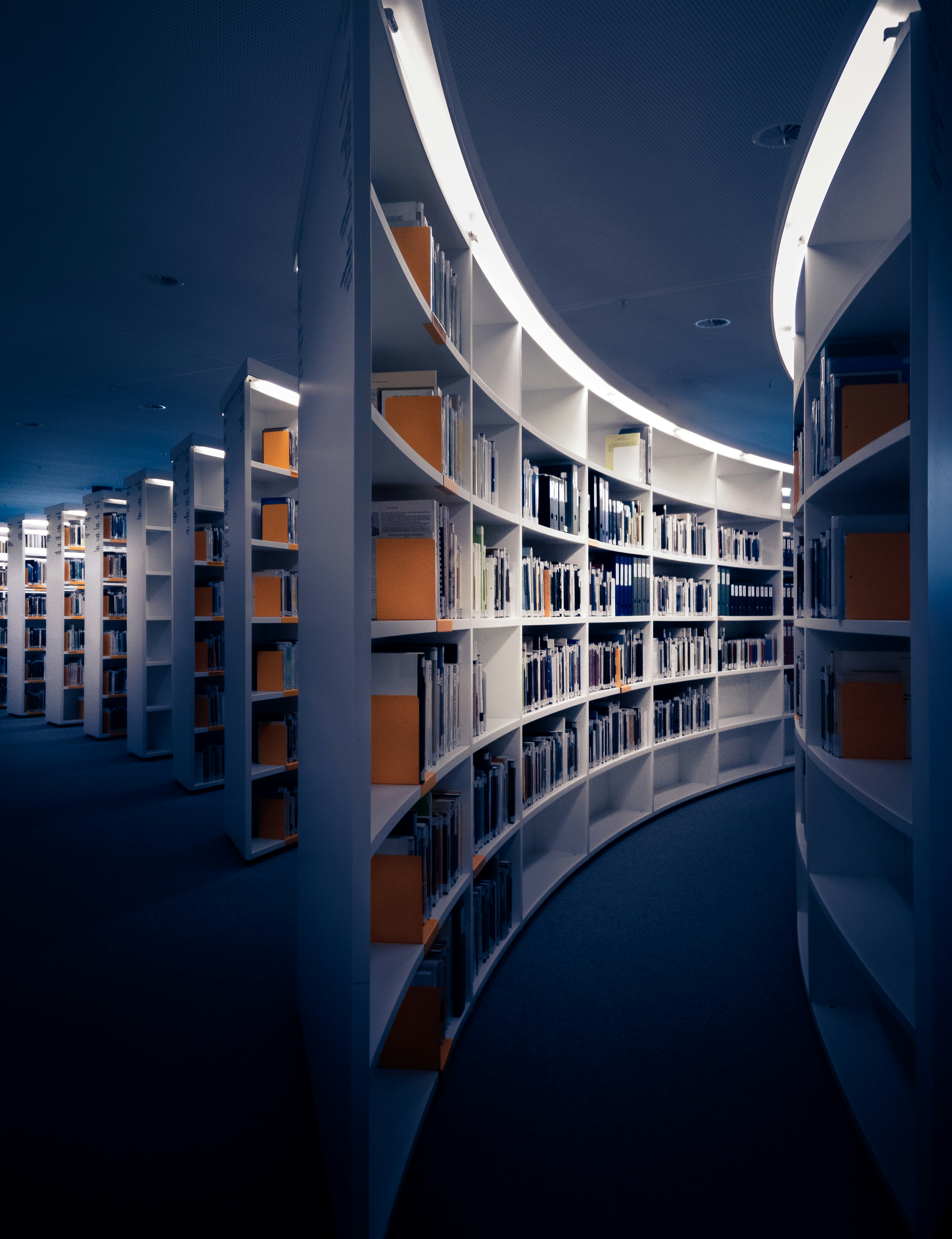 The Library is open: Using virtual browsing to support remote students